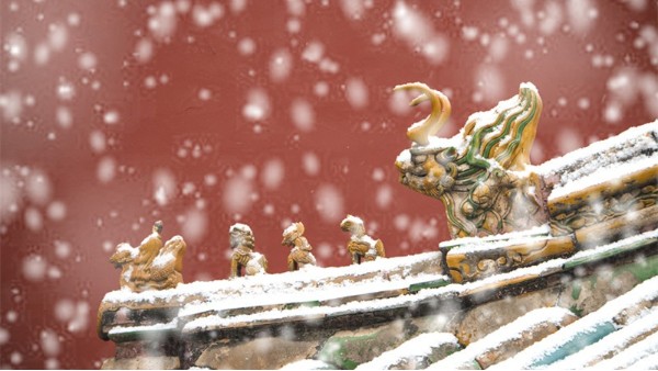 青島佳百特祝大家小雪快樂！